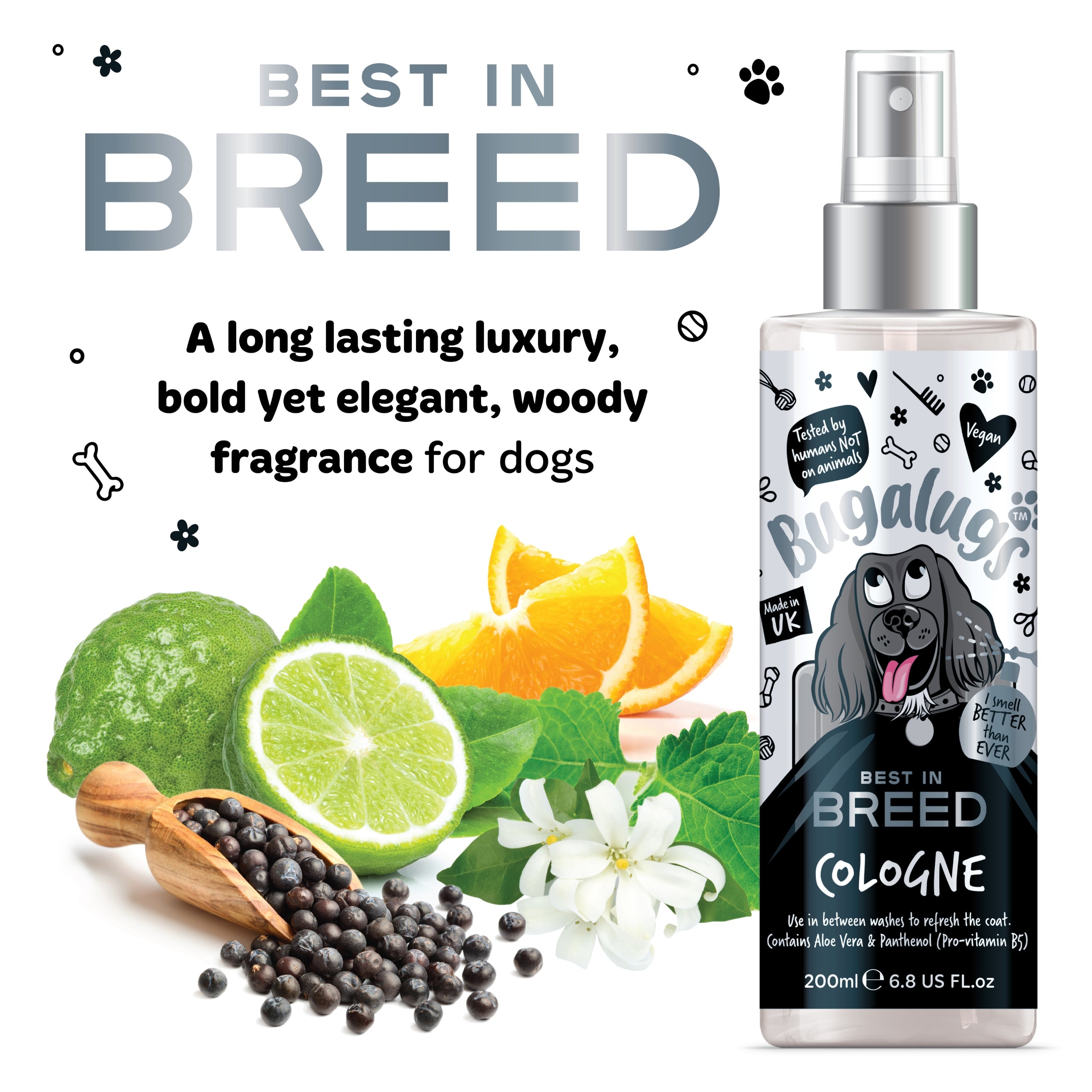 Bugalugs - BEST IN BREED COLGONE
