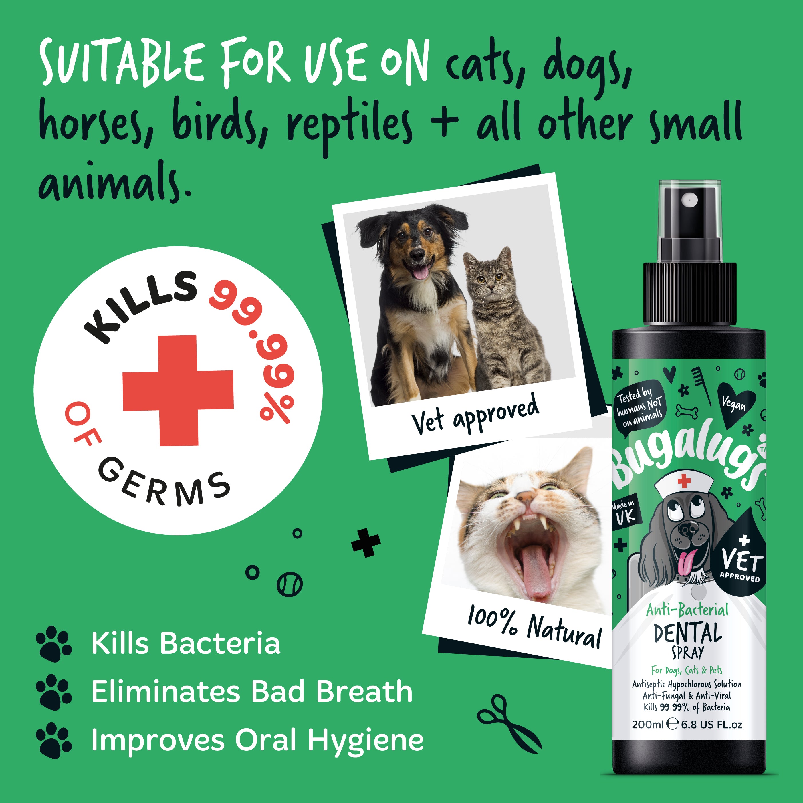 Bugalugs - Anti-Bacterial Dental Spray