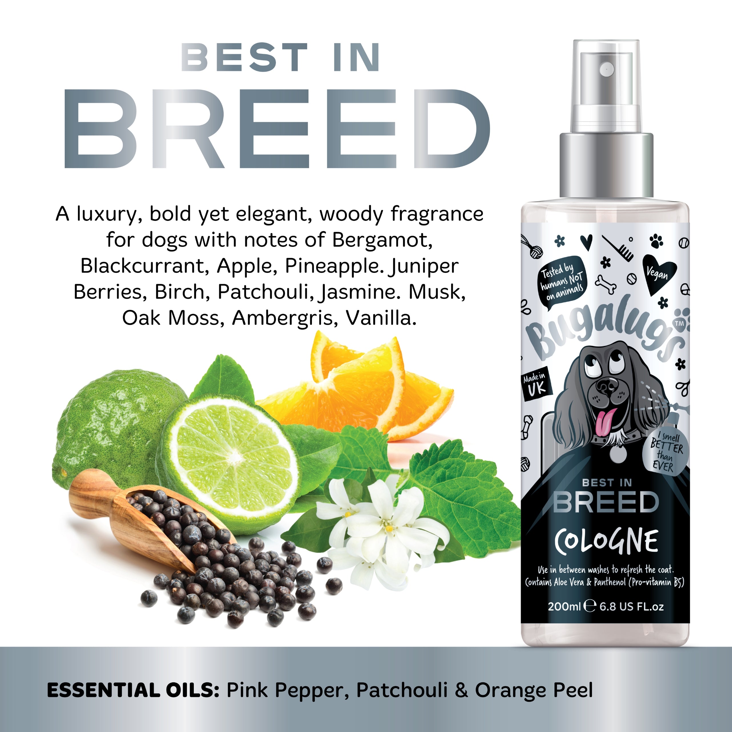 Bugalugs - BEST IN BREED COLGONE