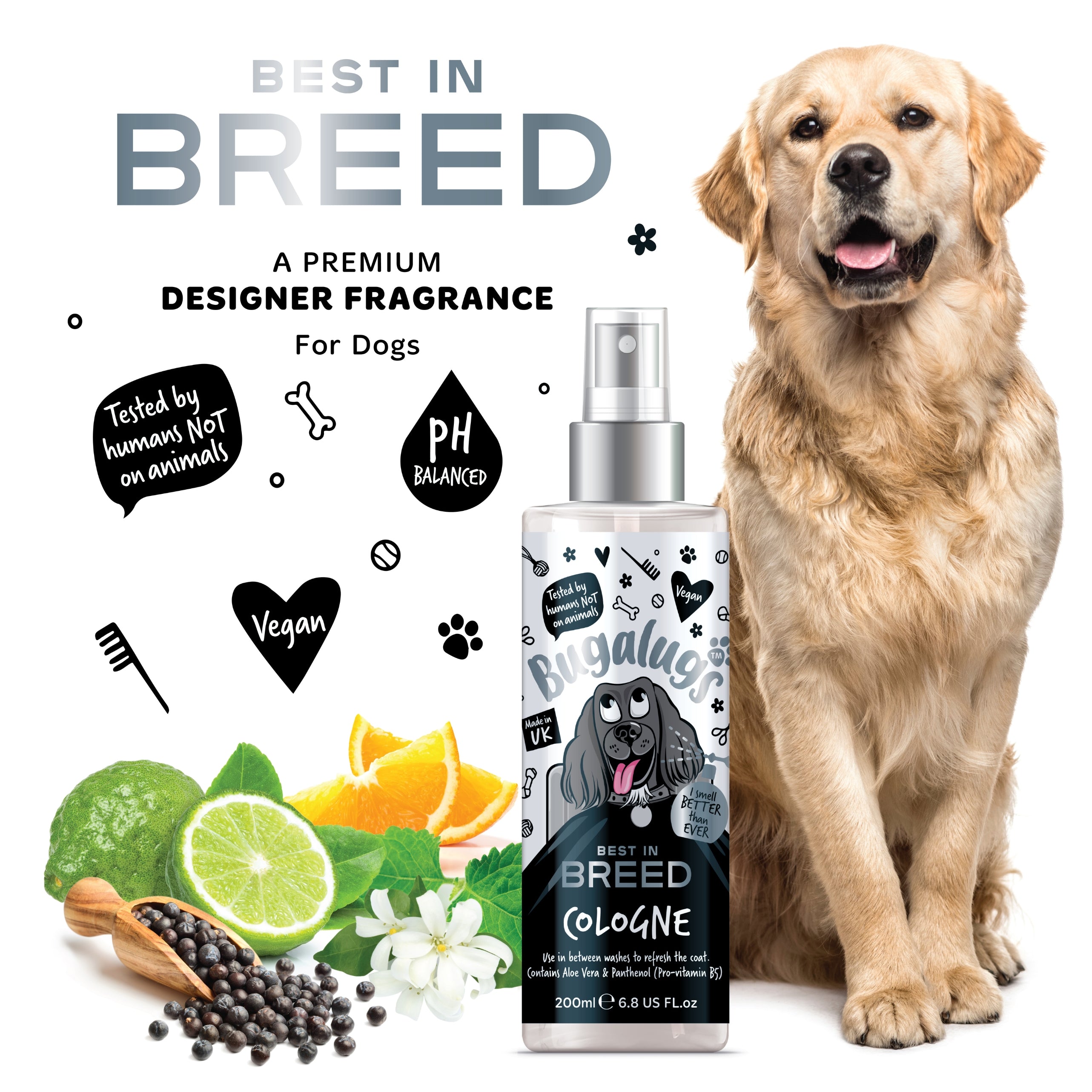 Bugalugs - BEST IN BREED COLGONE