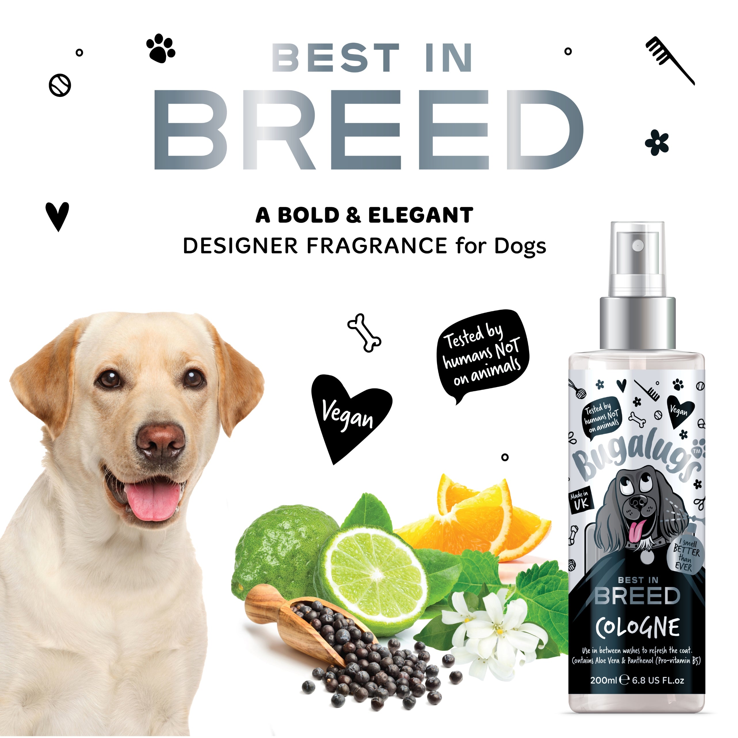 Bugalugs - BEST IN BREED COLGONE