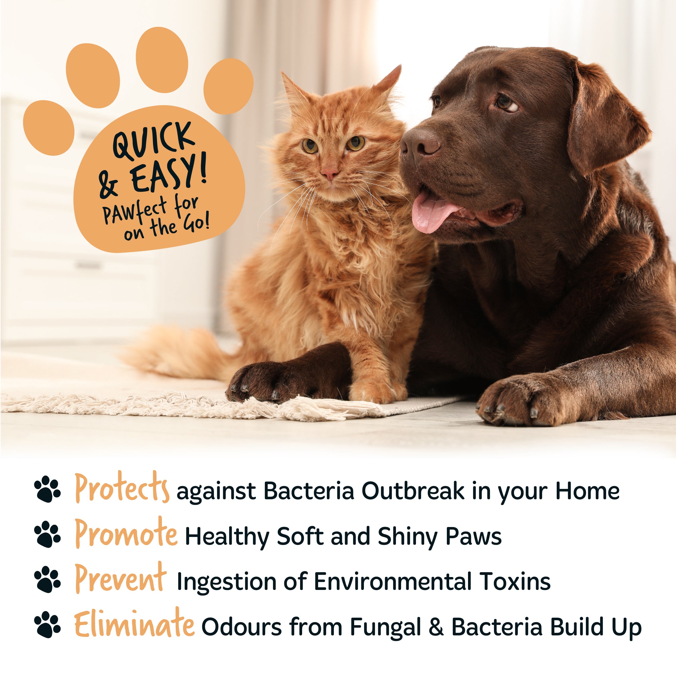 Bugalugs - NO RINSE PAW CLEANER - Coconut & Lime (Oatmeal)