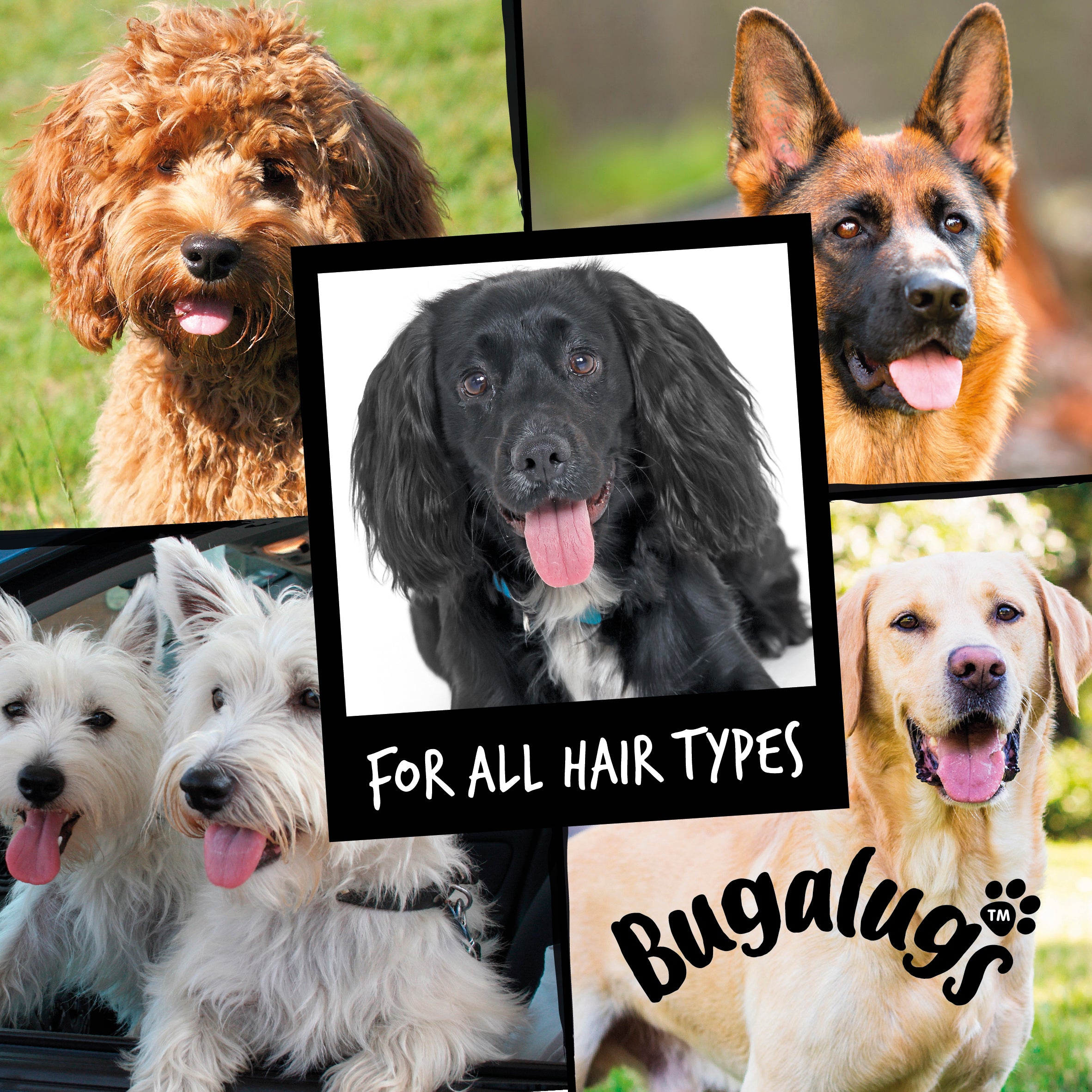 Bugalugs - DOG COLOGNE (Aloe & Kiwi)